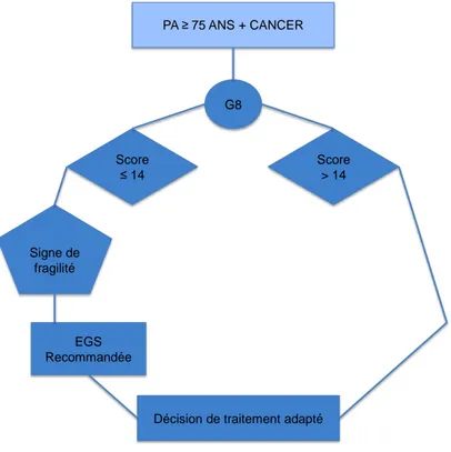 Figure 1 Algorithme de l'évaluation gériatrique en oncologie (EGS : Evaluation Gériatrique Spécialisée, G8 : score  oncodage, PA : Patients Agés)