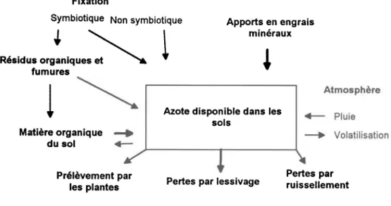 Figure 3. Cycle de I'azote