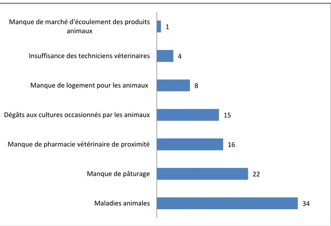 Figure 13. Les contraintes majeures de l’élevage en termes de pourcentage chez les exploitants agricoles  de Kirundo 