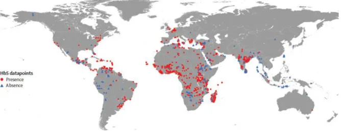 Figure 7 : Répartition des principaux foyers drépanocytaires dans le monde 