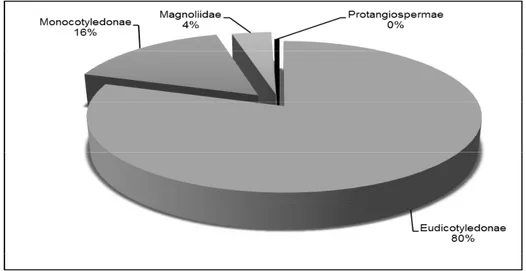 Figure 2 : Spectres de richesse spécifique de différents clades angiospermiques. 