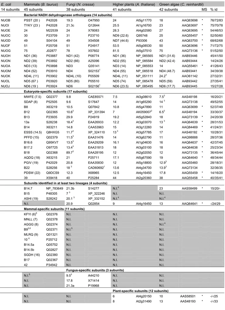 Table 2. Genomic analysis of complex I subunits from model prokaryotic and eukaryotic organisms  and identification of homologous sequences 