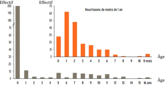 Figure   3   :   Nombre   et   âge   des   cas   de   coqueluche   du   réseau   Rénacoq   2004   :   enfant   jusqu’à   16   ans   (gris)   et       