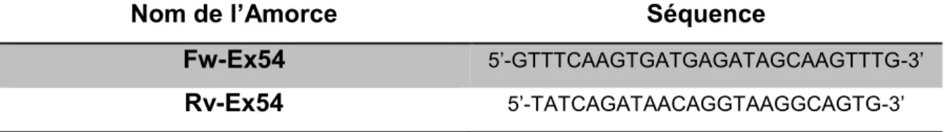 Tableau 2. Amorces utilisées pour amplifier l'exon 54 du gène DMD. 