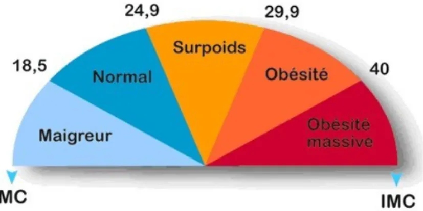Figure 2: graphique des stades de l'obésité selon l'IMC 
