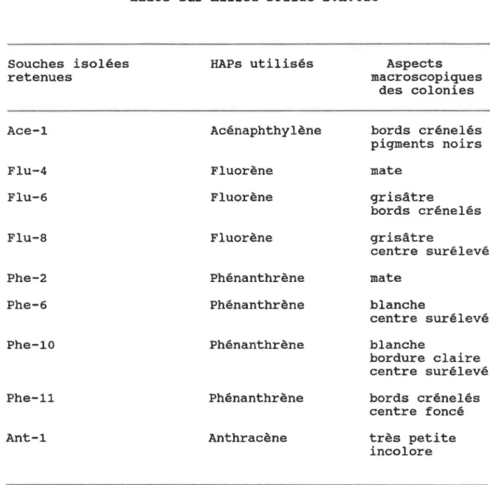 Tableau  VI:  Souches  isolées  retenues  Ace-1  Flu-4  Flu-6  Flu-8  Phe-2  Phe-6  Phe-10  Phe-11  Ant-1 