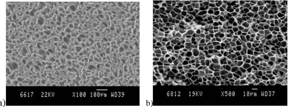 Figure 2 : SEM Micrographs of a) PCL and b) PMMA foams filled with 1 wt% of MWNT. 