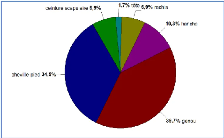 Figure 5 : répartition des localisations des blessures - CFIM Angoulême