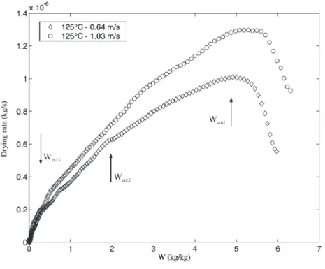 Figure 7 : Drying curves 
