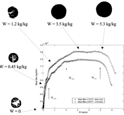 Figure 10 : Cracks formation related to sample water content 