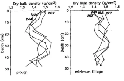 Figure 4: The effects of conventional and minimum tillages on bulk density (2)Mean of 5 measurements.