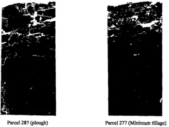 Figure 6: The effect of conventional and minimum tillage on soil structure. Situation before spring tillage (7).