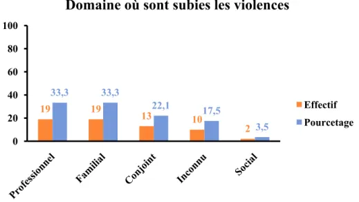 Figure 9 : Domaine des violences déclarées. 