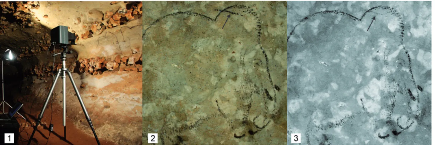 Figure 3 - 1 : Infra-red reflectography device used at Rouffignac. Comparison between the photography of mammoth 66 (2) and its image with infrared reflectography (3)