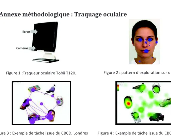 Figure 1 :Traqueur oculaire Tobii T120.  Figure 2 : pattern d’exploration sur un visage 