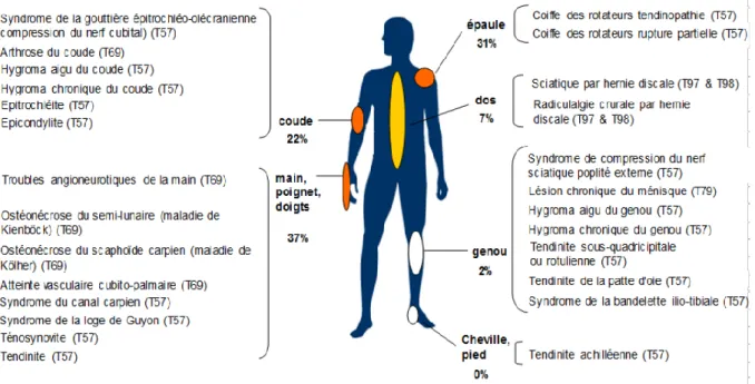 Figure 1 : Répartition des syndromes de TMS par localisation en 2017 