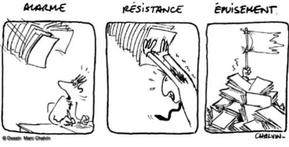 Figure 10 : Les 3 phases du stress 