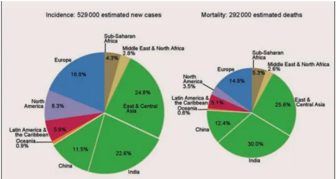 Figure 4 : Diagramme représentant l’incidence et la mortalité des cancers oraux et pharyngés selon  une répartition mondiale en pourcentage 