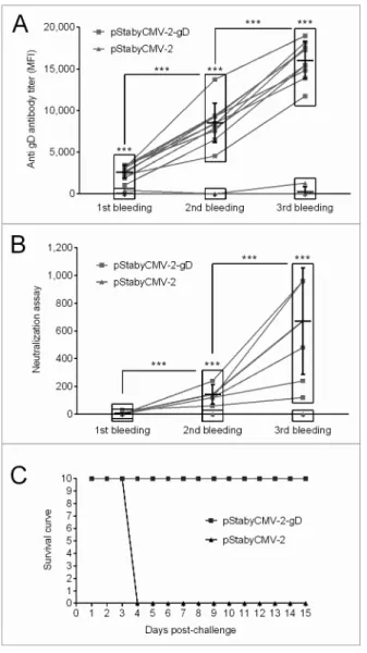 Figure 4. evaluation of the immune response induced by pstabycMV- pstabycMV-2-gD in mice