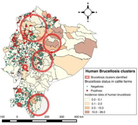 Figure 3.3: Human Brucellosis clusters identified and Positive Brucellosis herds. Space clusters of human brucellosis cases with a maximum of 25% of the total centroids used in the circular scanning window between 1996 and 2008.