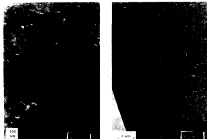 Figure 13   TEM micrographs of foam derived from copolymer 13 