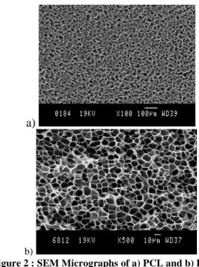 Figure 2 : SEM Micrographs of a) PCL and b) PMMA  foams filled with 1 wt% of MWNT. 