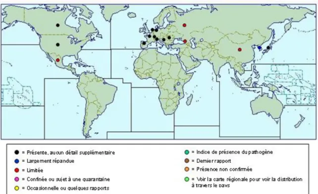 Figure 2 - Répartition mondiale d'A. trifida (Source : www.cabi.org/cpc, 1 Décembre 2015).