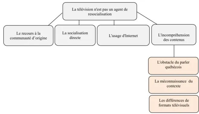 Figure 3: La télévision non reconnue comme agent de resocialisation 