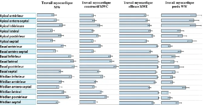 Figure 4 : Les différents paramètres de travail myocardique des 18 segments 