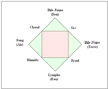 Figure 1 - La théorie des humeurs 