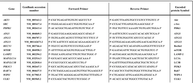 Table 3 : List of Primer Sets Used 