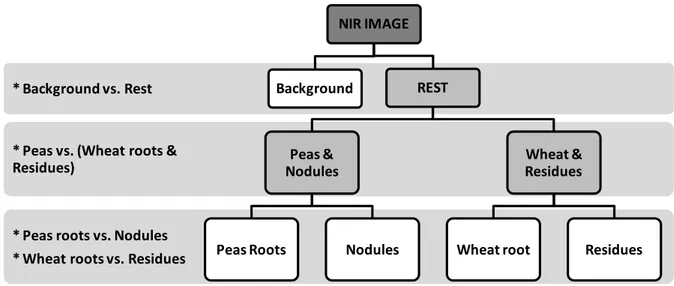 Figure  1:  Discriminant  classification  tree  based  on  4  SVM  models  and  allowing  the  classification  into  five  spectral  classes  of  the  NIR  spectra extracted from a NIR hyperspectral image.