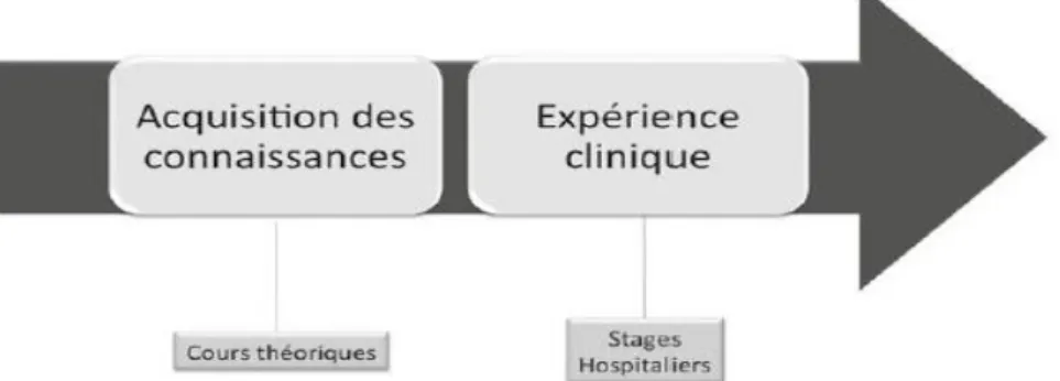 Fig 1. Modèle classique d’acquisition des connaissances durant les études médicales   (Hodges et al., 2013)  