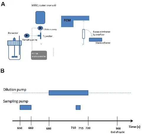 Figure 1. A : Scheme of the interfacing system between the bioreactor and the FC B : Sequence  of activation of the dilution and sampling pump
