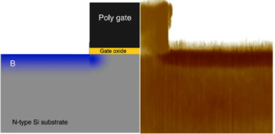 Fig. 5. SSRM image of a cross section around the poly-gate of a patterned wafer. A layout of the structure is given on the left hand side