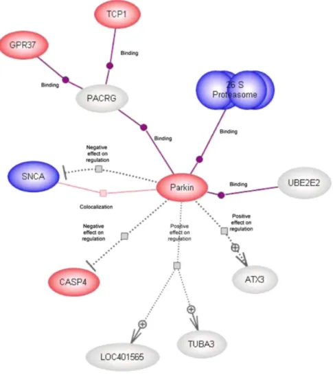 Fig. 3  Expression-pathway overlay for parkin metabolism in the lateral substantia nigra in Parkinson's disease