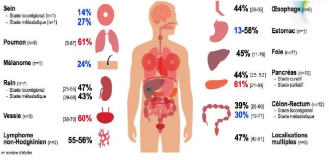 Figure 4. Prévalence de la sarcopénie par localisation tumorale 28