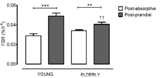 Figure 5. Taux de synthèse de protéines musculaires fractionnées (FSR) mixtes chez des hommes sains, jeunes et  âgés,  à  l'état  post-absorption  (n  =  34  jeunes,  n  =  72  agés)  et  post-prandiaux  (n  =  35  jeunes,  n  =  40  âgés)  lors  de  l'ing