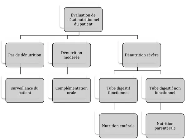 Figure 2-1 D’après l’Arbre décisionnel du soin nutritionnel proposé par le comité Educationnel et de Pratique  Clinique de la SFNEP(14,19) 