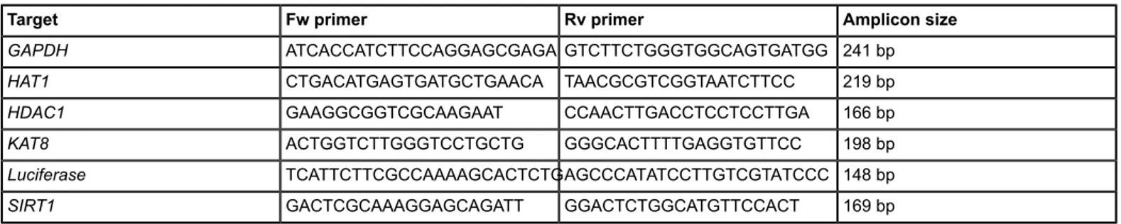 Table 1: Primer Setails. The 5' &gt; 3' sequence of the forward (Fw) and (Rv) primers and the expected amplicon size are given for each transcript analyzed: glyceraldehyde-3-phosphate dehydrogenase (GAPDH), histone acetyl-transferase 1 (HAT1), histone deac
