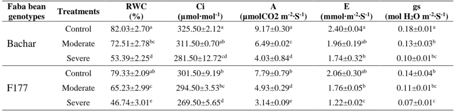 Table 2  Effect of moderate (50% FC) and severe (30% FC) drought stress on relative water  content (RWC), internal concentration of CO 2  (Ci), net photosynthesis (A), transpiration (E)  and  stomatal  conductance  (gs)  in  faba  bean  genotypes  (Data  a