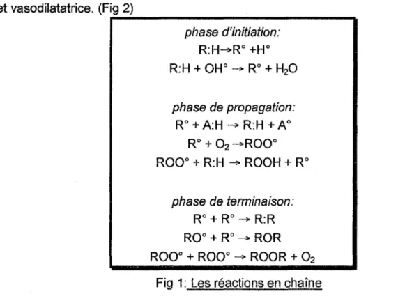 Fig  1: Les réactions en chaîne  3.  Les autres mécanismes : 