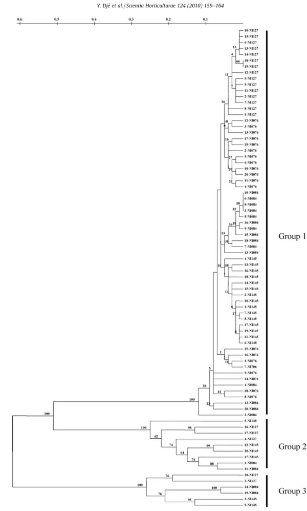 Fig. 4. UPGMA dendrogram using Nei (Nei &amp; Li, 1979) distance of ISSR band proﬁles from samples of 80 C