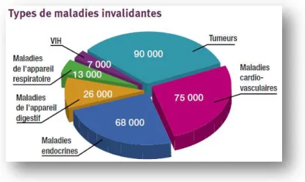 Figure 4 : Type de maladies invalidantes en France (3)