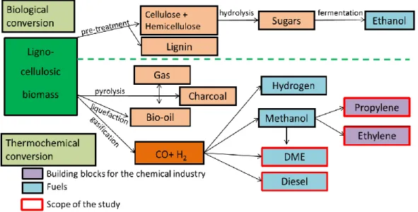 Figure 1: Lignocellulosic biomass valorisation 