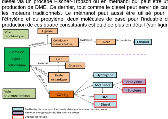 Figure 1: Schéma de la valorisation de la biomasse lignocellulosique 