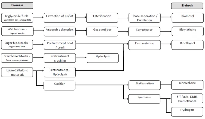 Figure 1: Different pathways for biomass conversion to biofuels [4] 