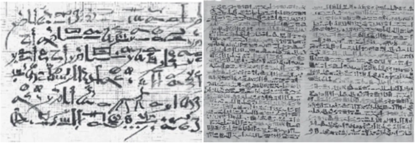 Figure 1: les papyrus d'Edwin Smith
