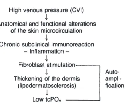 Figure 2 model physiopathologique de l'ulcère veineux selon Neuman 