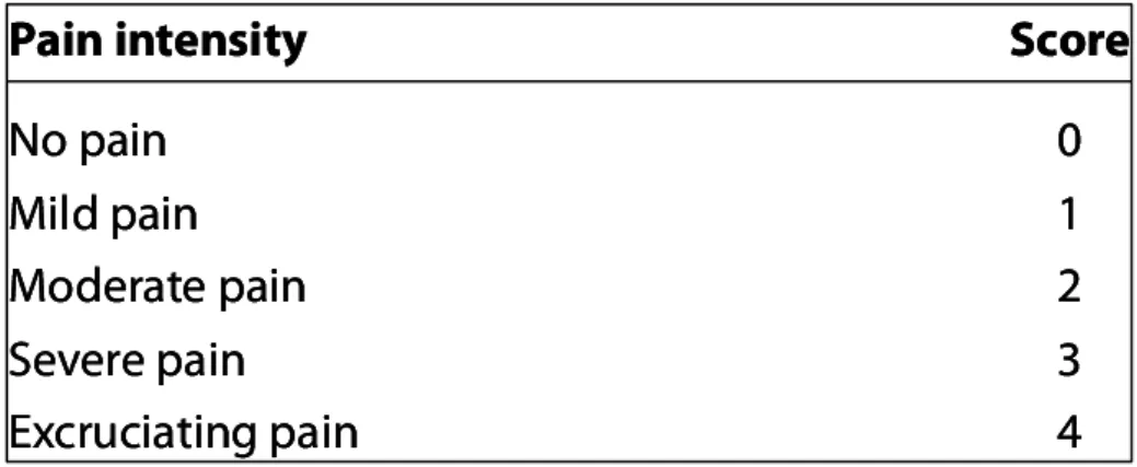 Figure 4: Verbal Rating Scale